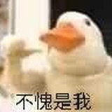 来杯生椰拿铁