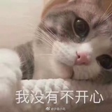 柠檬味的西瓜糖