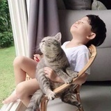 削梨
