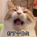 盒子117
