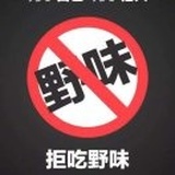 沙袋里的萤火虫