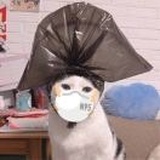 烦恼真多