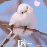 垚垚