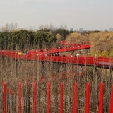 yzbb008