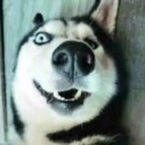 路人甲