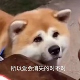 好想好想粗去丸