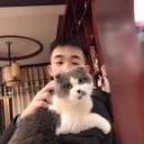 建娃儿哈哈