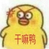 中中已飞升