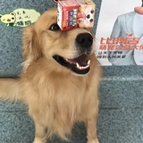 浩瀚的大海
