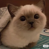 豆友211788089