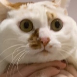 自然卷👩‍🦱