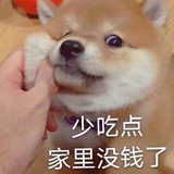 今天我读书了