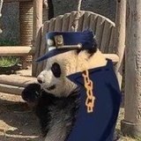 爽歪歪