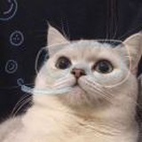 一条鲫鱼呀