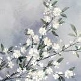 六月中的一天