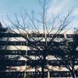 风也绕过我灵魂