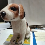 豆友211857499