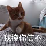 不管小李的事啊