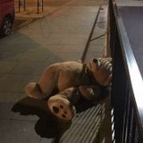 这有垃圾桶