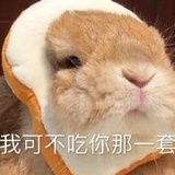 鱼鱼
