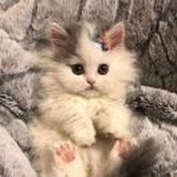 一睽🌙抽空观影