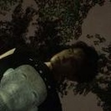 橘又青