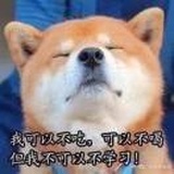 十三