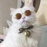 豆友211907714