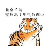 未名湖畔鲁智深