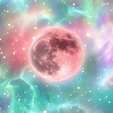 爻