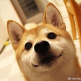 深蓝