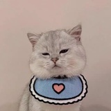 嘿;-)