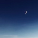 翊而伞