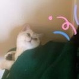 姚姚姚