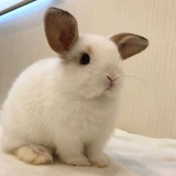宁静致远