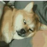 还有好多作业没