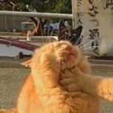 ^我是奔波霸