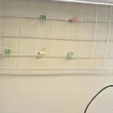 家人健康快乐