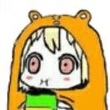 13郑琦