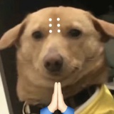 啊嚏
