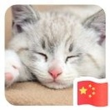 14刘洋