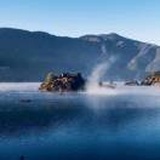 成都996税务咨询