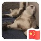 心之所在