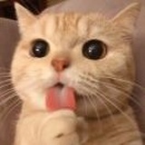 小葫芦