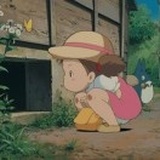 龙小猫