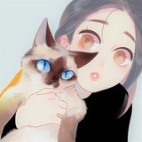 皮皮