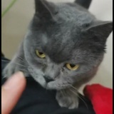 小兔子