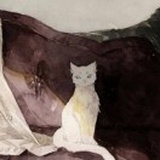 YR