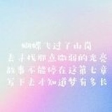 一样