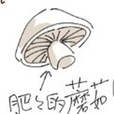 沐木木木古